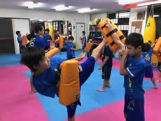 空手の練習風景の写真2